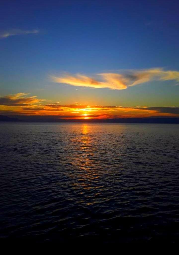 Alojamento Mata Atlantica De *