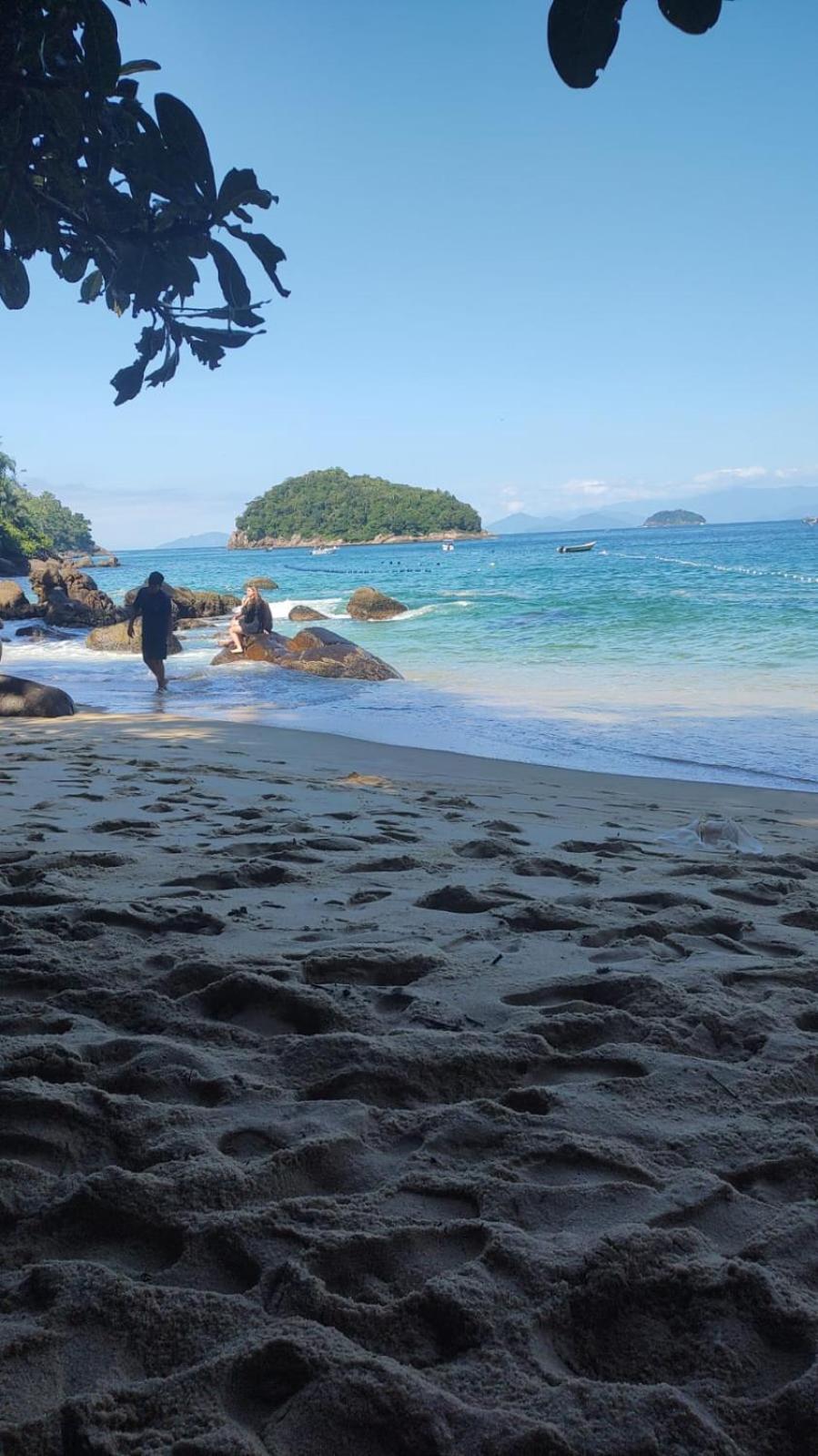 Mata Atlantica De Alojamento *