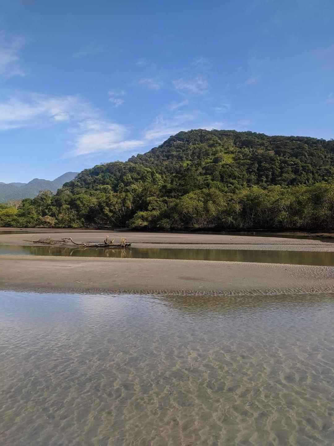 Mata Atlantica De